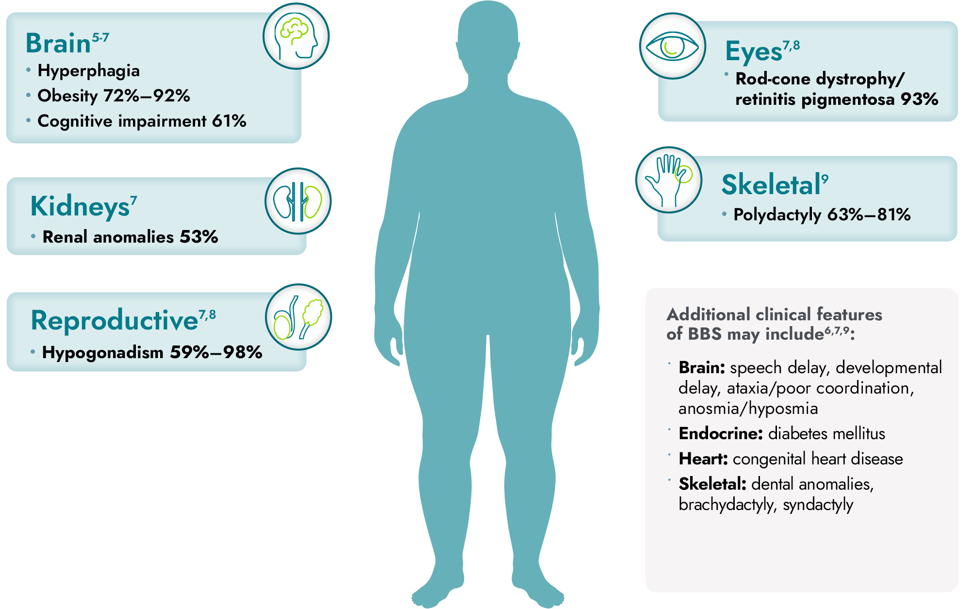 Body diagram identifying BBS symptoms in the brain, kidney, eyes, heart, reproductive, endocrine, and skeletal systems