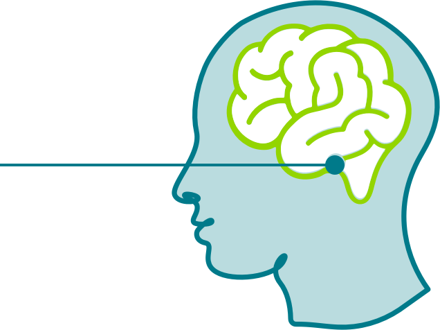 Hypothalamus in Brain