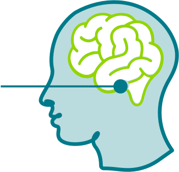 Hypothalamus in Brain